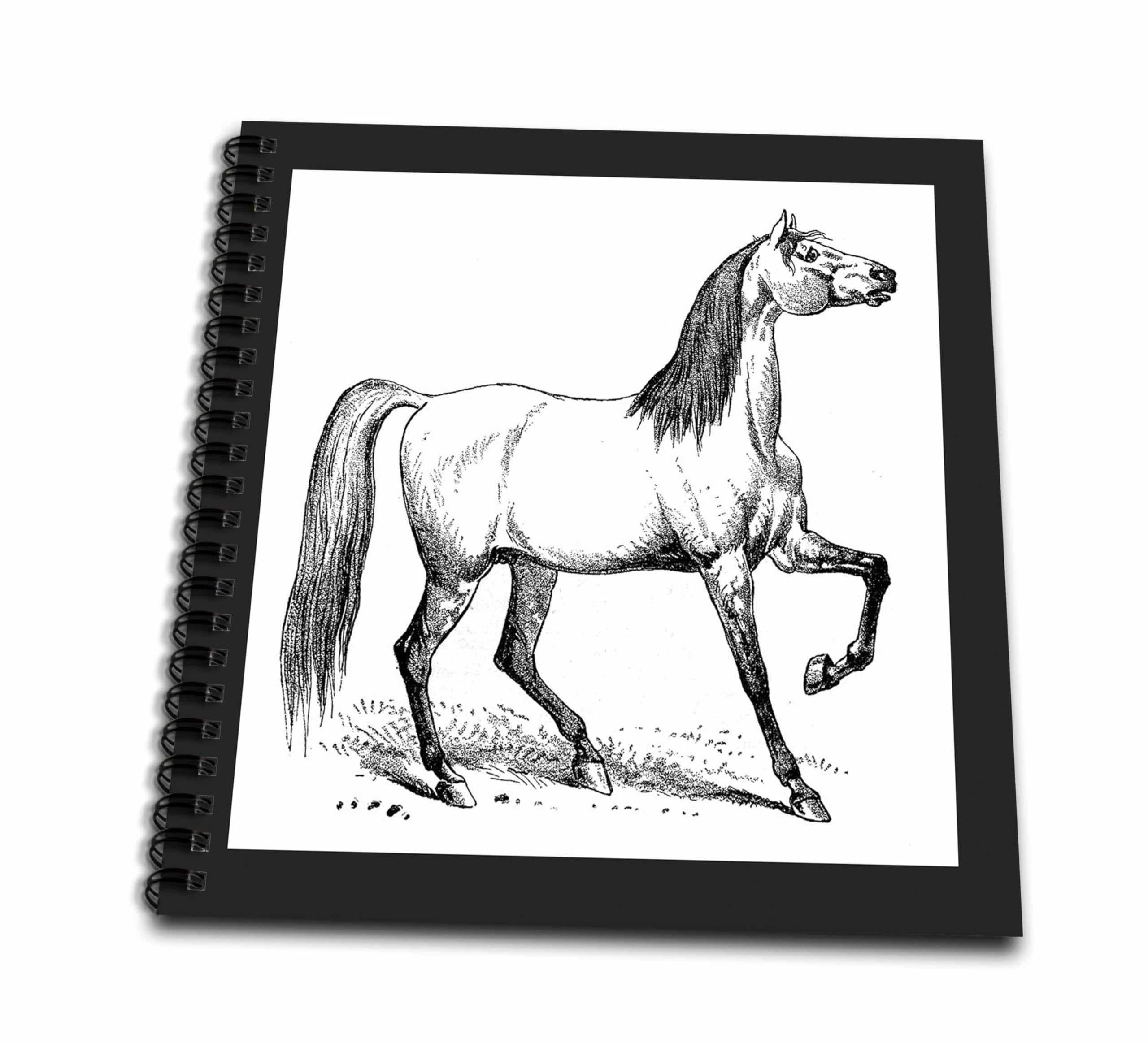 Amazon.com: 3dRose db_46521_1 Vintage Horse Sketch-Drawing